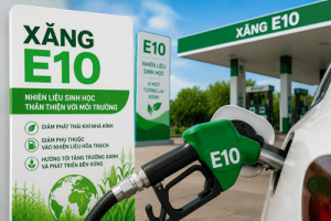 Khách Hàng Hà Nội Hỏi Gì Nhiều Nhất Về Xăng E10 Khi Mua BYD Sealion 6?
